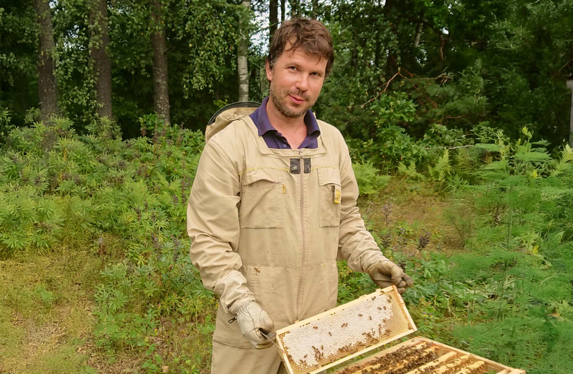 OÜd Mesiveski juhtival mesinikul Siim Õunapil on hooajal veidi üle 300 tootva mesilaspere. Peale selle veel paarumis- ja idupered. Foto: OÜ MESIVESKI 